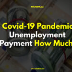 Covid-19 Pandemic Unemployment Payment