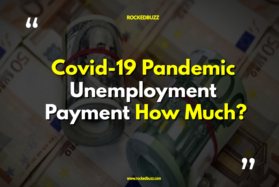 Covid-19 Pandemic Unemployment Payment