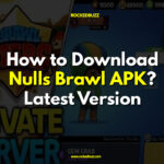 Download Nulls Brawl APK