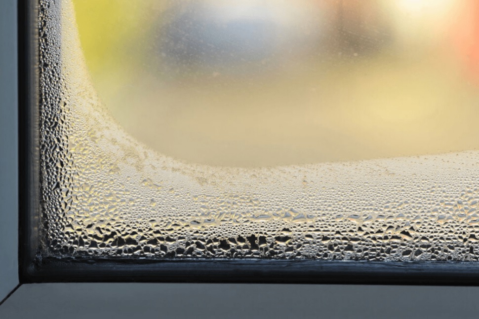 Condensation on inside of Windows