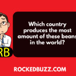 Which country produces the most amount of these beans in the world?