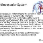 cardio is an abbreviation for what word 604a4873e290d