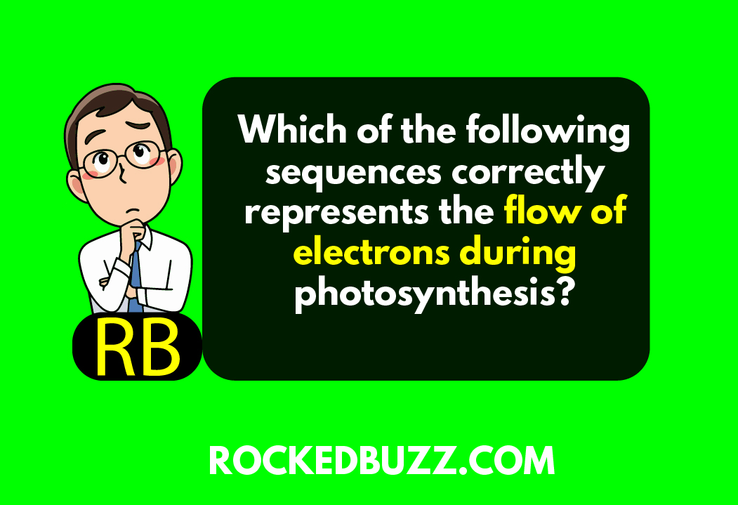 which of the following sequences correctly represents the flow of electrons during photosynthesis?