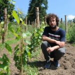the-vines-are-coming-back-to-haute-loire