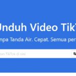 Download Tiktok Tanpa Watermark Online