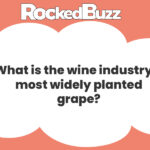 What is the wine industry’s most widely planted grape-100