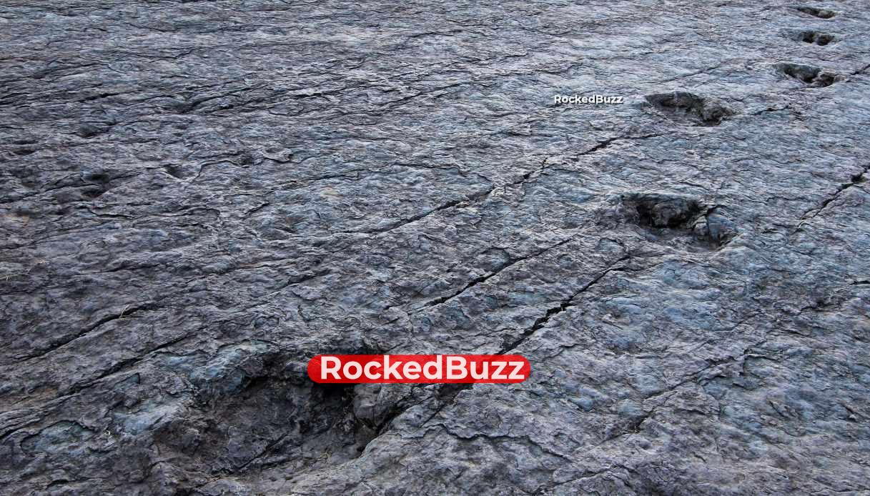 footprints-discovered-in-wales,-their-mystery-revealed-–-rb