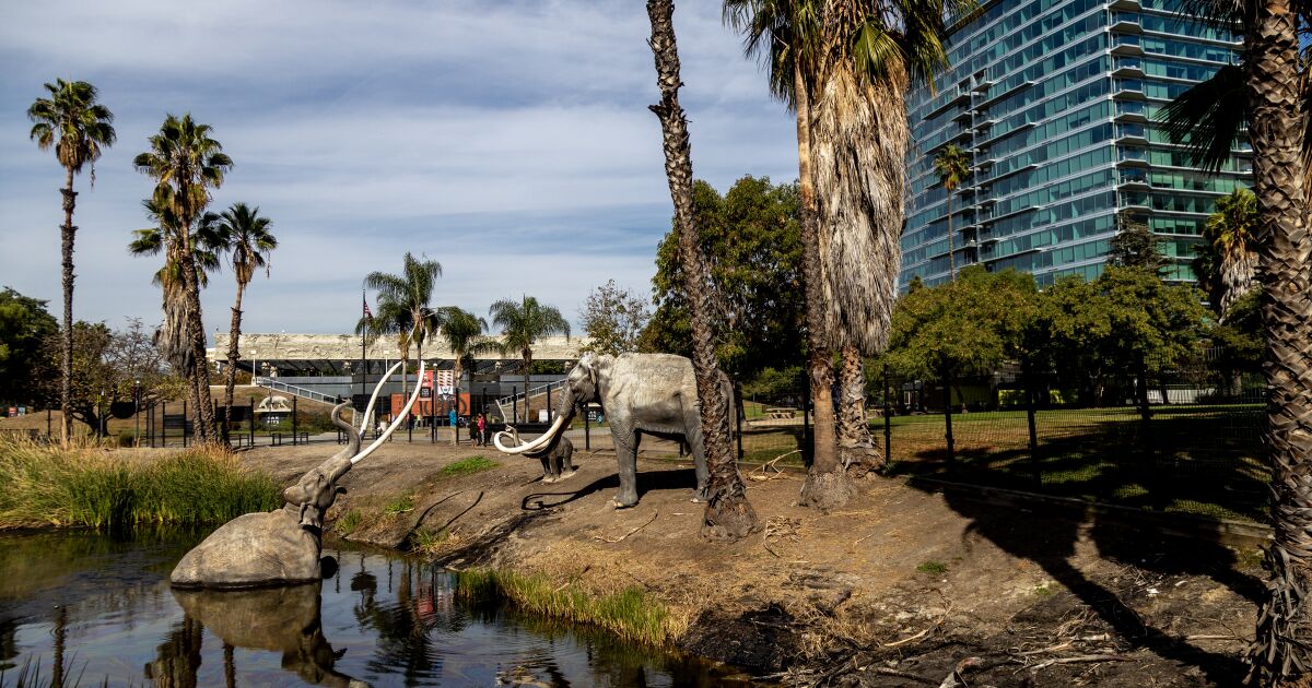 1207748 sci tar pits geological site 1 gmf