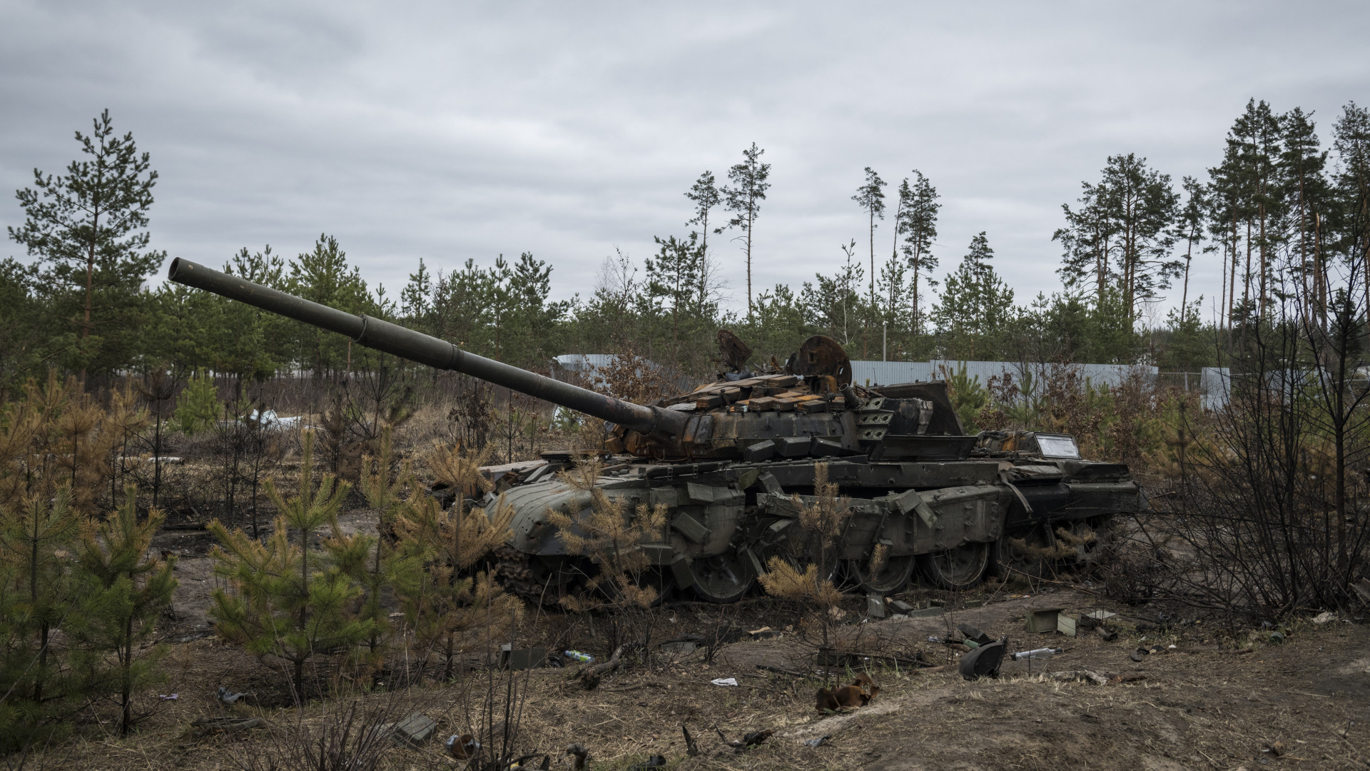 ukrajna ukran haboru orosz tank harckocsi roncs veszteseg konfliktus 581984