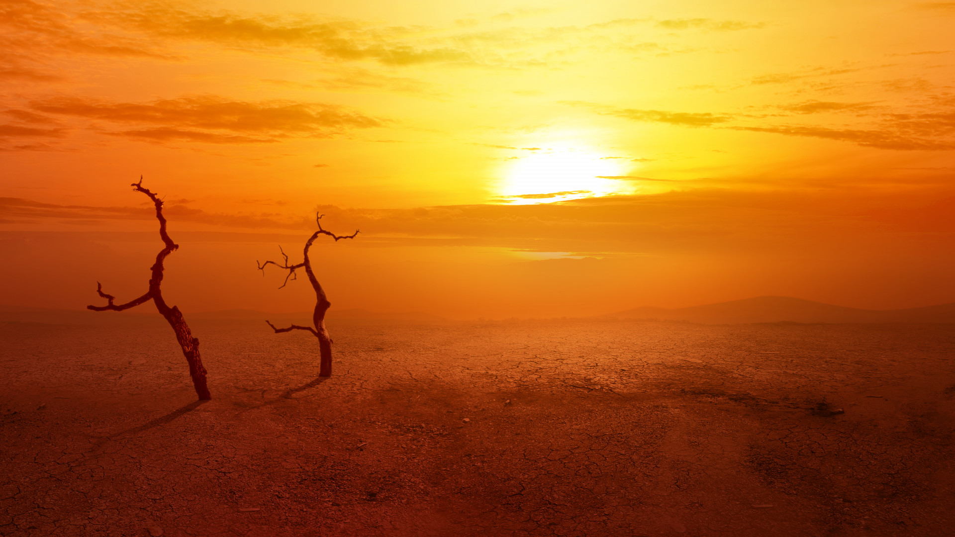 klimavaltozas climate change sivatag desert 525827